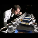 Coffee Cupping