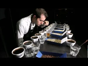 Coffee Cupping