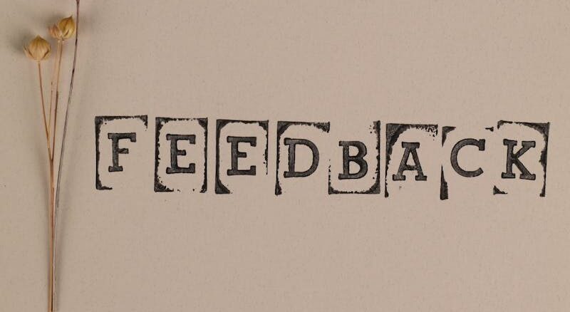 A minimalist concept with the word 'Feedback' and natural elements on a neutral background.
